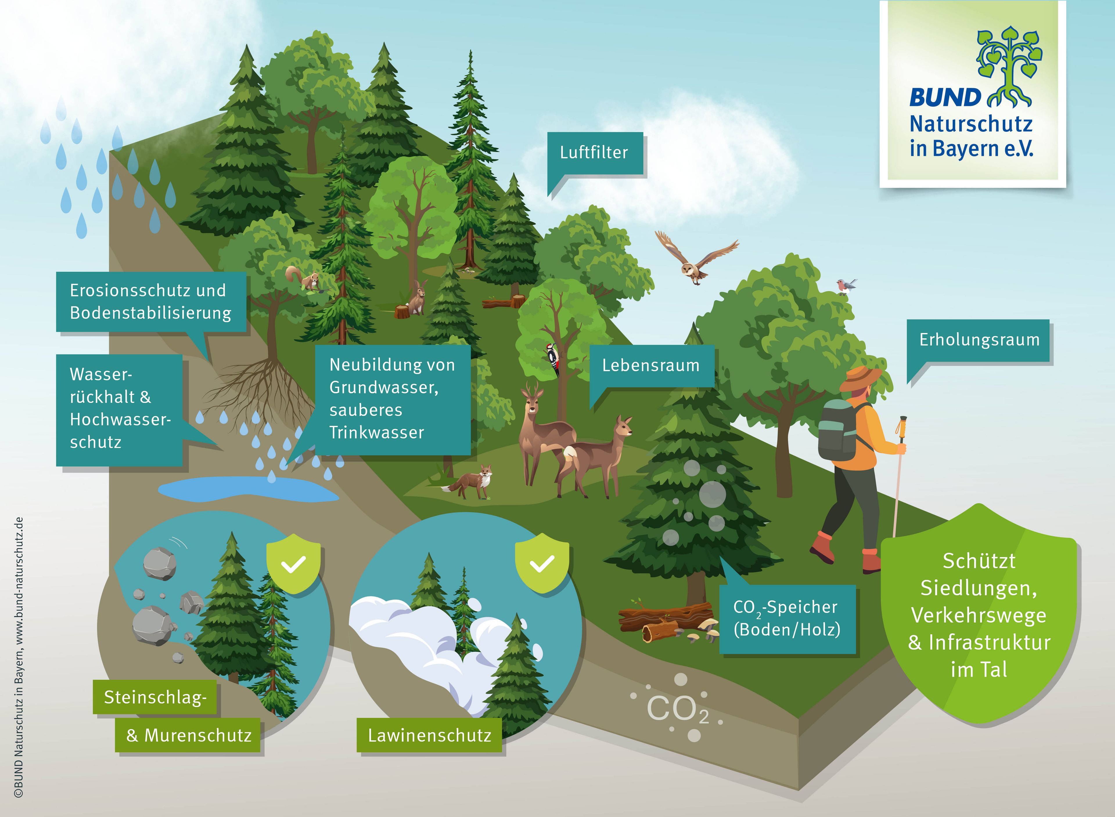 Eine Grafik zeigt einen Bergwald, rundherum sind die vielen Aufgaben, die er erfüllt, angeordnet.