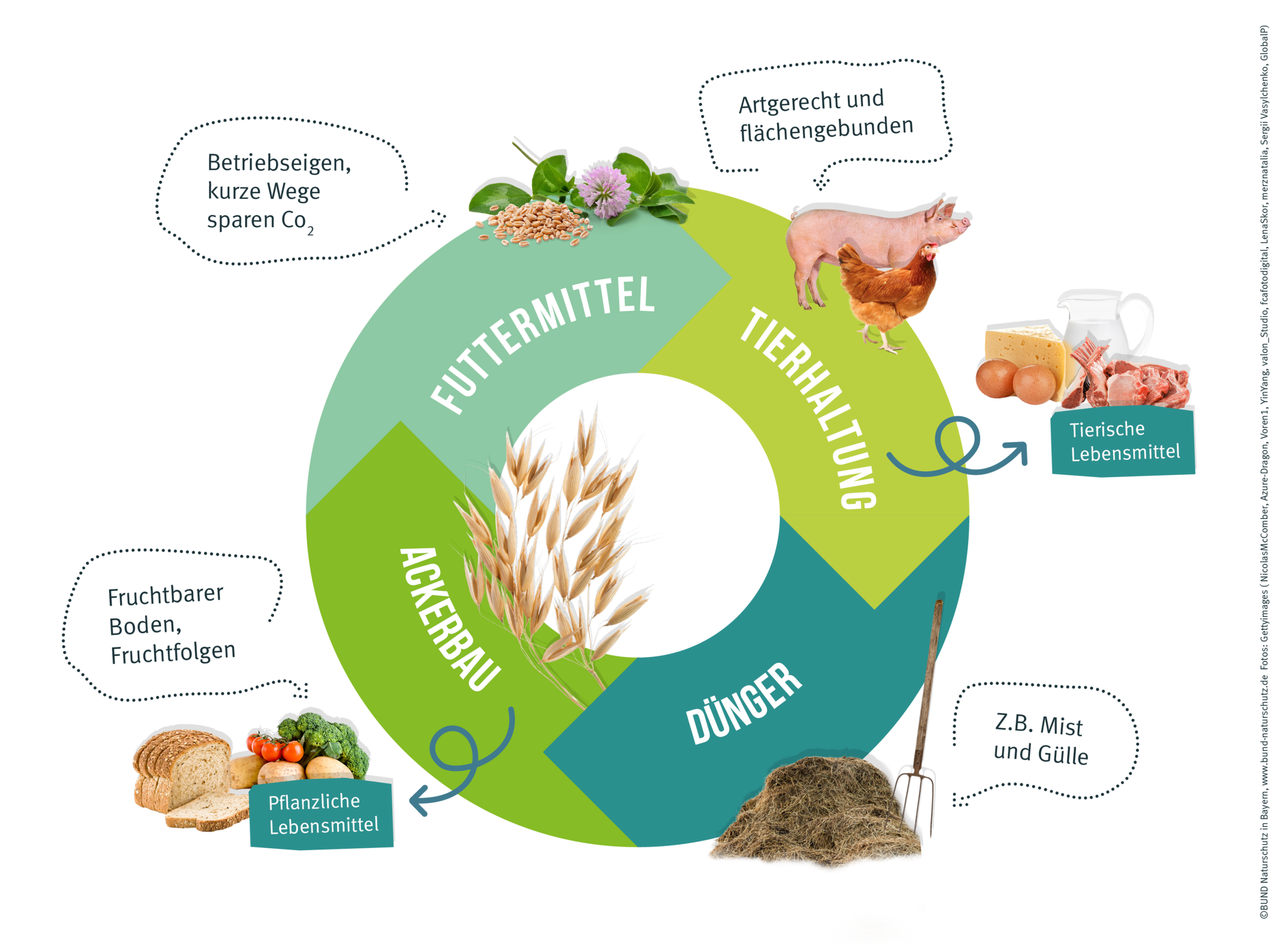 Die biologische Landwirtschaft strebt einen geschlossenen Nährstoffkreislauf an. Das schont Ressourcen und ermöglicht die nachhaltige Produktion von Lebensmitteln. Die Grafik zeigt den angestrebten Kreislauf der Bio-Landwirtschaft.