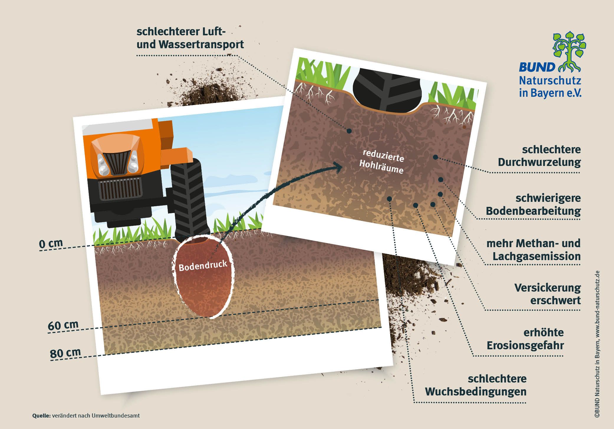 Der Druck einer landwirtschaftlichen Maschine wirkt sich bis 60 Zentimeter tief nachteilig auf den Boden aus. Ein Bild zeigt den Boden und einen Traktor der darüberfährt. Ein Kreis zeigt an, wie stark und tief sich der Druck auf den Boden auswirkt.