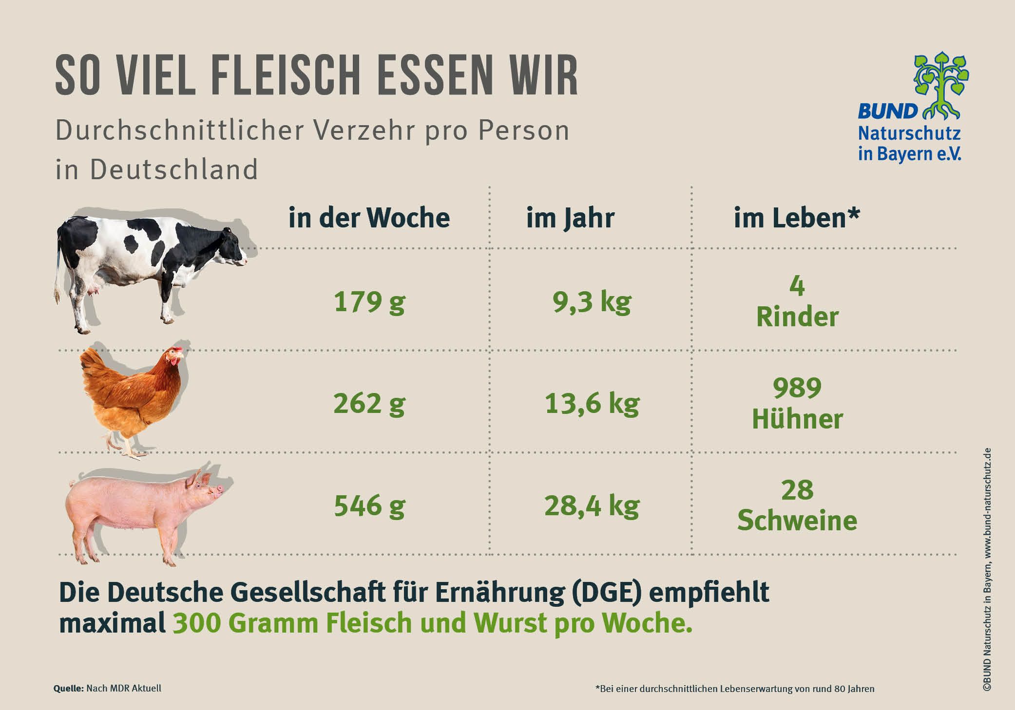 Die Deutschen essen ein Vielfaches der von der DGE empfohlenen Menge an Fleisch und Wurst. Eine Tabelle zeigt, wie viel Rind-, Hühner- und Schweinefleisch die Deutschen pro Woche, pro Jahr und im Leben essen. Außerdem gibt die Tabelle an, wie viel Fleischverzehr von der DGE empfohlen wird.