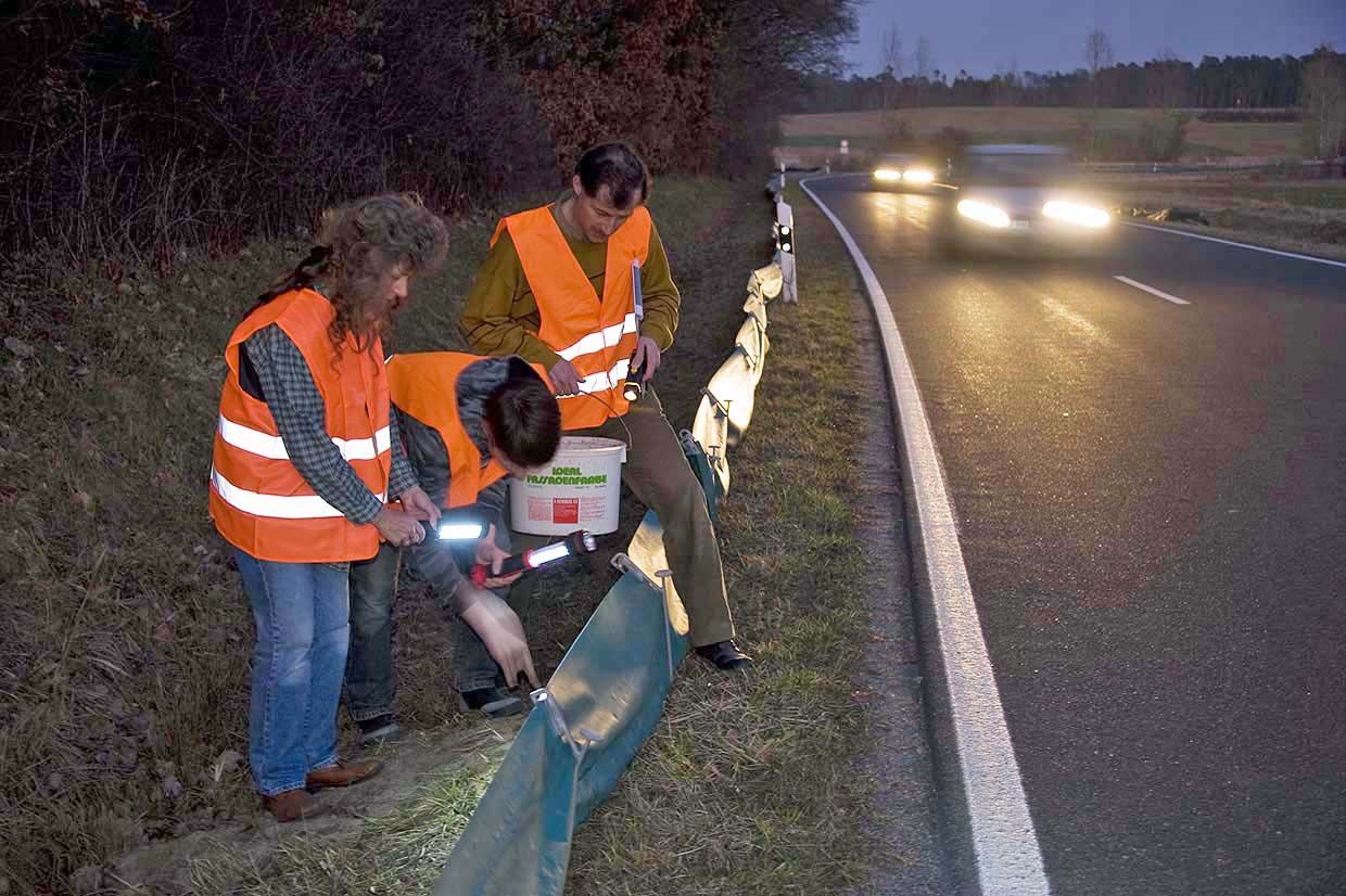 Ehrenamtliche Aktive des BUND Naturschutz am Amphibienzaun (Foto: Thomas Stephan)