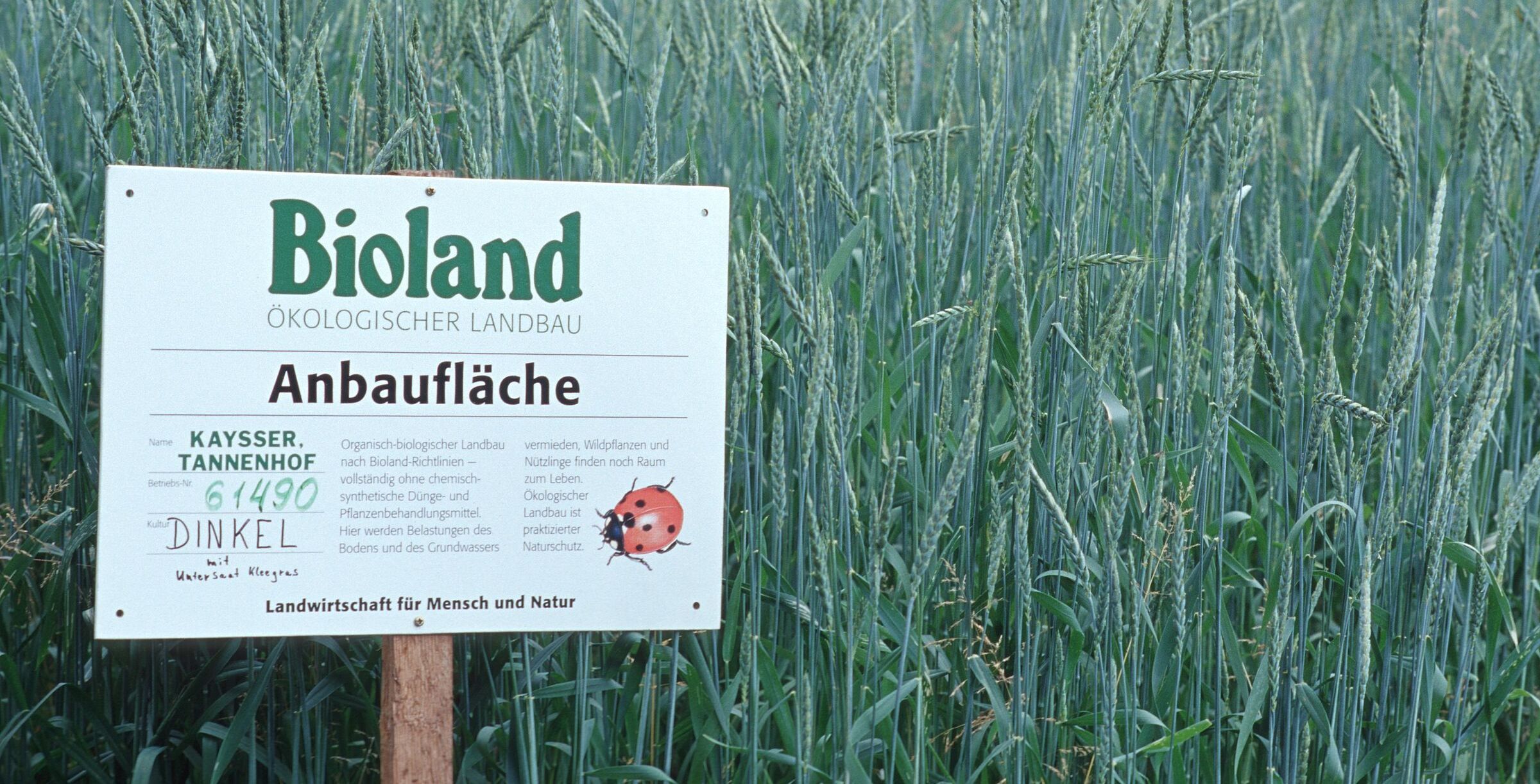 Biolandwirtschaft schont die Natur und das Klima und schafft Arbeitsplätze. (Foto: BLE/Thomas Stephan) Ökologische Landwirtschaft: Bioland-Schild in einem Dinkelfeld