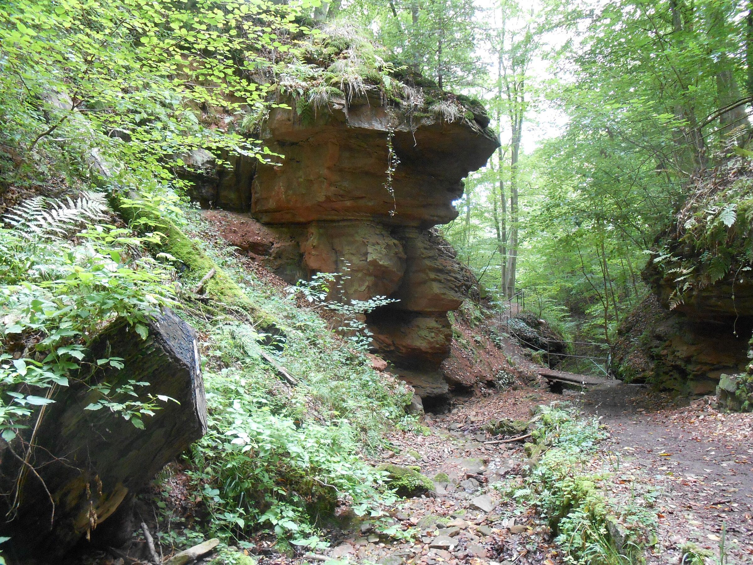 Blick in die urige Seltenbachschlucht in der Biosphärenregion Spessart. (Foto: Dr. Ruth Radl) Blick in eine urige Schlucht mit grün bewachsenen Hängen und Felsen. Die Seltenbachschlucht gehört zur Biosphärenregion Spessart. (Foto: Dr. Ruth Radl)