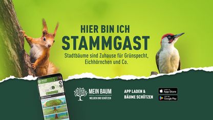 Bäume melden, entdecken und beschützen!
