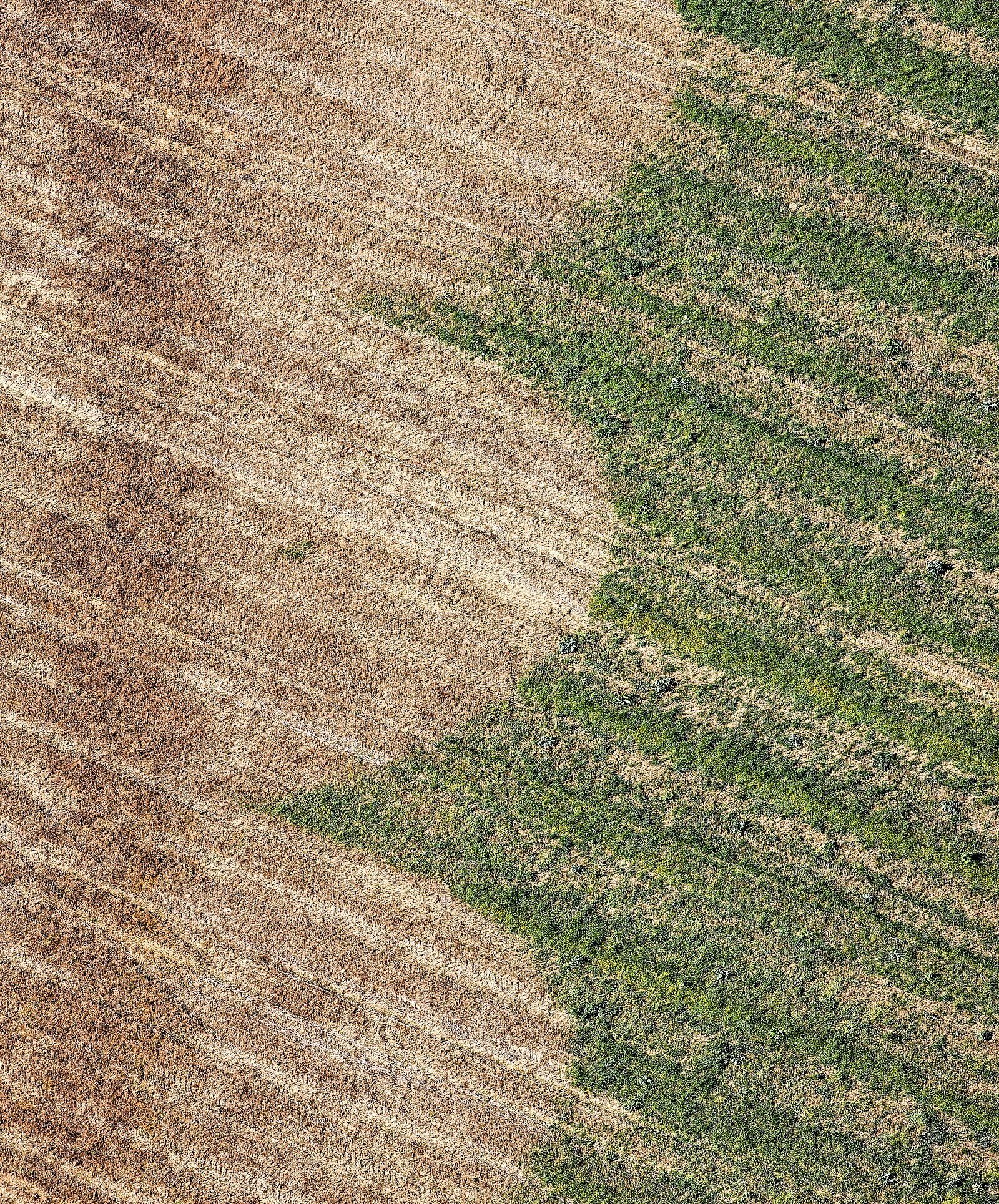 Glyphosateinsatz auf einem bayrischen Feld. (Foto: Klaus Leidorf) Auf einer Wiese sind die mit Glyphosat gespritzten Felder als braune Flächen zu sehen. (Foto: Klaus Leidorf)