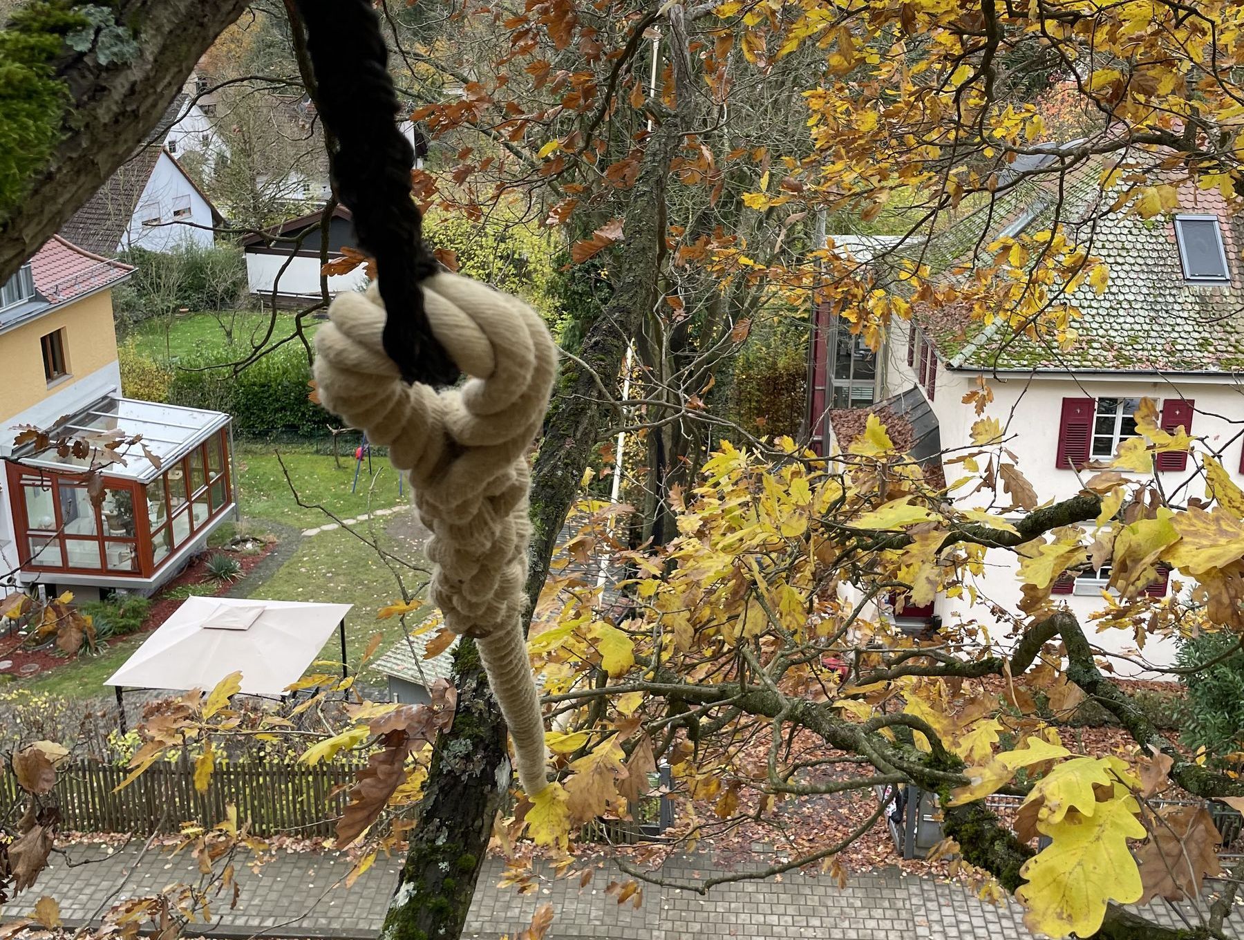 Eichhörnchenbrücke in Zirndorf: In einer Baumkrone ist ein dickes Hanfseil befestigt, das von dort in sechs Metern Höhe über die Straße führt.