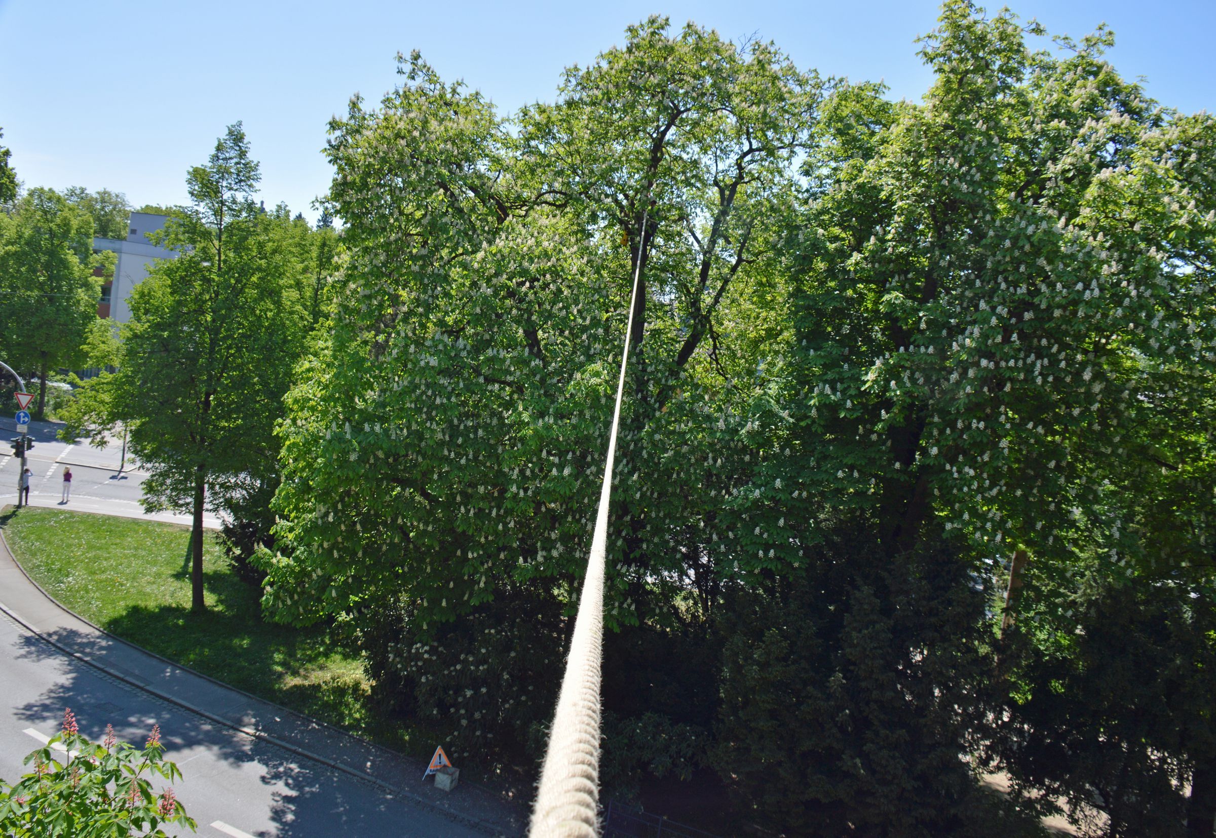 Eichhörnchenbrücke in Regensburg (Foto: Elisabeth Hofer)