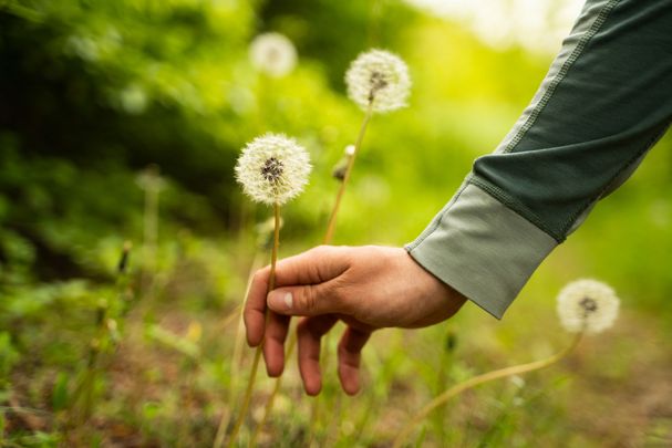 Unkraut im Garten anpflanzen (Foto: Соня Монштейн/stock.adobe.com)