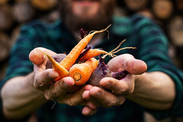 Foto: v-sot/stock.adobe.com Ein Bauer hält Möhren und Rote Beete in den Händen (Foto: v_sot/stock.adobe.com)