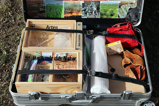 Artenschutzkoffer (Foto: Sonja Kreil) Bildungsmaterial Artenschutzkoffer (Foto: Sonja Kreil)