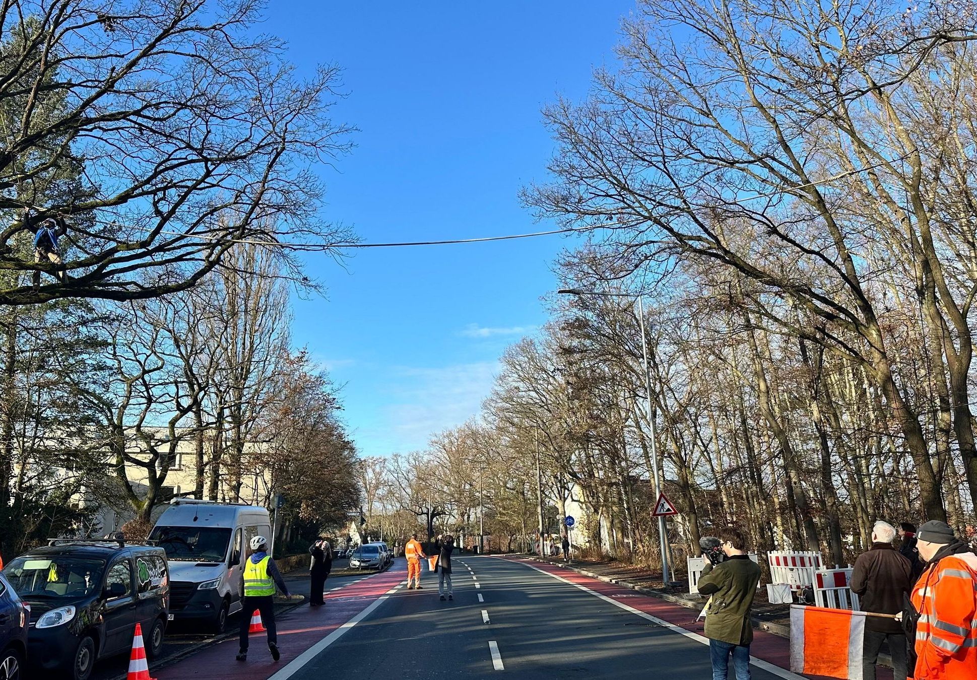 Aufbau der ersten Eichhörnchenbrücke am 10. Dezember 2025 in Nürnberg (Foto: Martina Gehret) Eichhörnchenbrücke: Ein dickes Seil führt einer Baumkrone zur anderen über die Eichendorffstraße in Nürnberg.