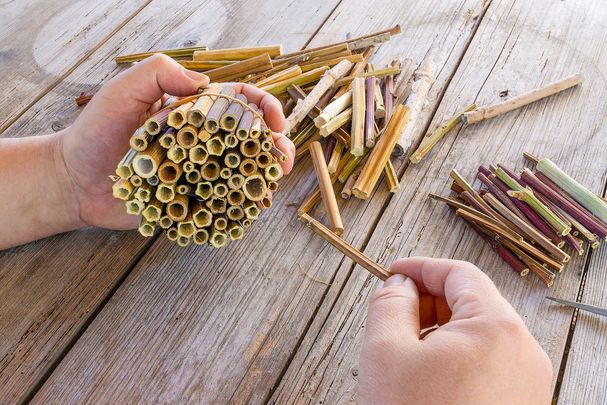 Bündeln aus hohlen Pflanzenstängel mit einem verschlossenen Ende sind perfekt als Nisthilfe für Insekten geeignet. (Foto: gabort/stock.adobe.com)