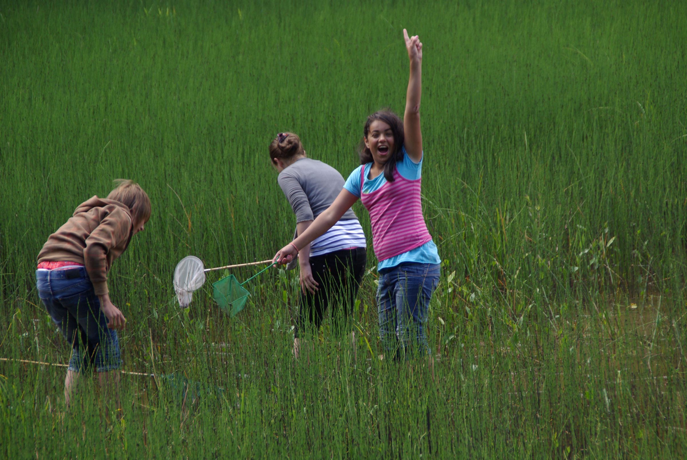 Der BN begeistert den Nachwuchs für die Natur. (Foto: Kreisgruppe Bad Kissingen) Drei Kinder mit Keschern suchen auf einer Wiese nach Insekten. Unter dem Motto: „Artenkenntnis erhalten – entdecke dein Naturtalent“ finden in ganz Bayern spezielle Veranstaltungen statt, die Kinder, Jugendliche und Erwachsene für den Naturschutz begeistern und die Artenkenntnis gezielt fördern. (Foto: Kreisgruppe Bad Kissingen)