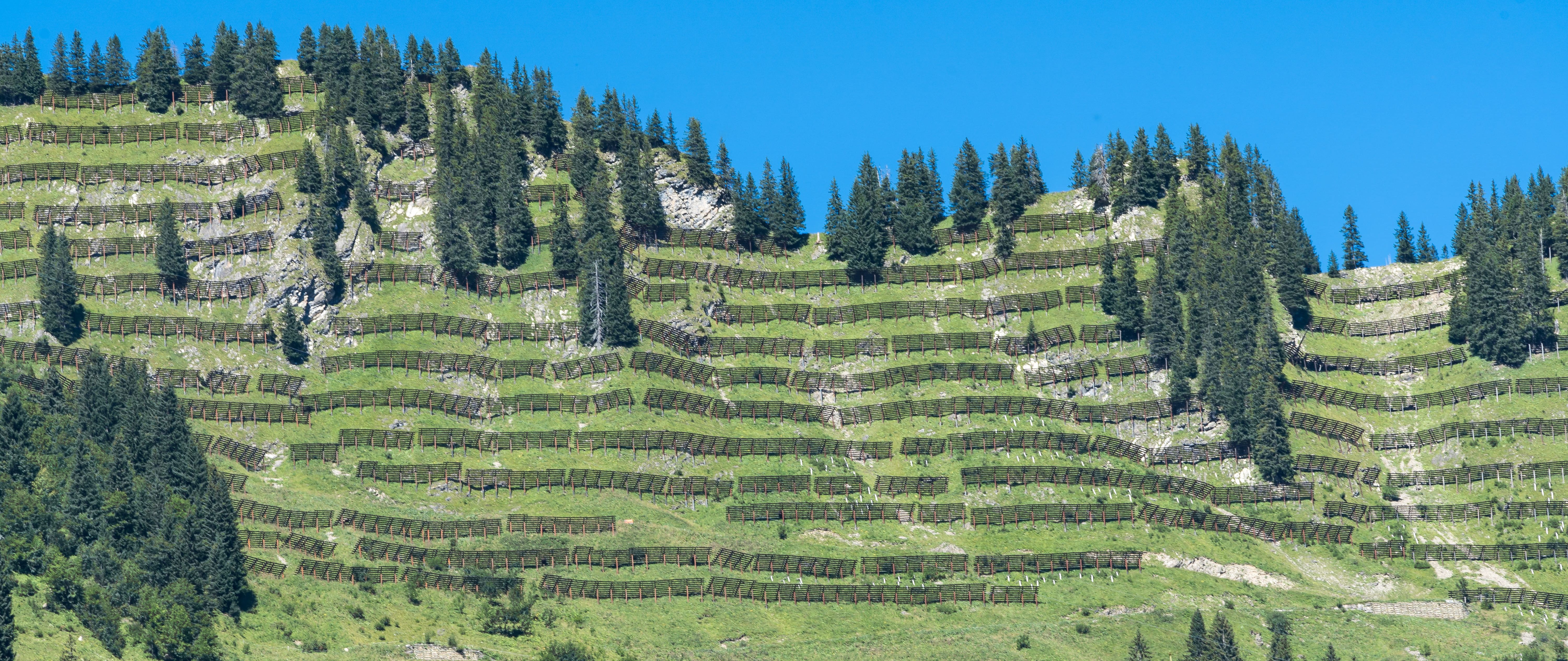 Lawinenverbauungen sind eine teure Alternative zu einem gesunden Bergwald. (Foto: Eberhard Spaeth/stock.adobe.com) Ein steiler Hang mit einem lückigen Bergwald und zahlreichen Lawinenverbauungen (Foto: Eberhard Spaeth/stock.adobe.com)