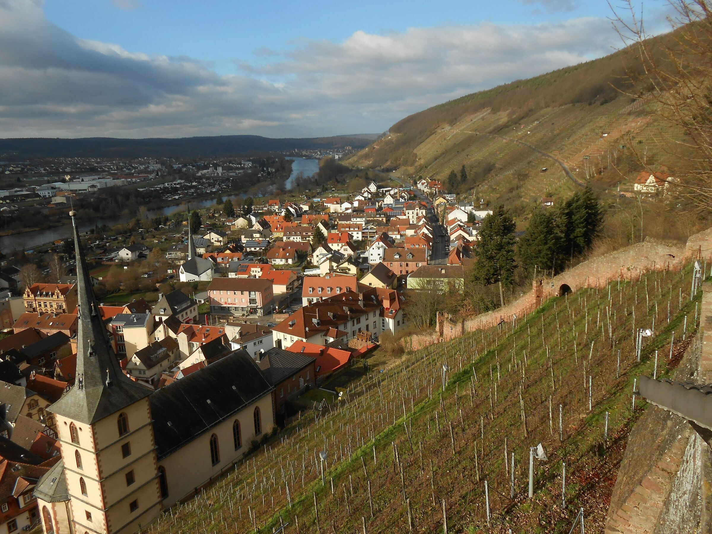 Blick über Weinberge ins Maintal bei Klingenberg: Eine Biosphärenregion Spessart unterstützt die Vermarktung regionaler Produkte. (Foto: Dr. Ruth Radl) Blick über Weinberge ins Maintal bei Klingenberg: Eine Biosphärenregion Spessart unterstützt die Vermarktung regionaler Produkte. (Foto: Dr. Ruth Radl)