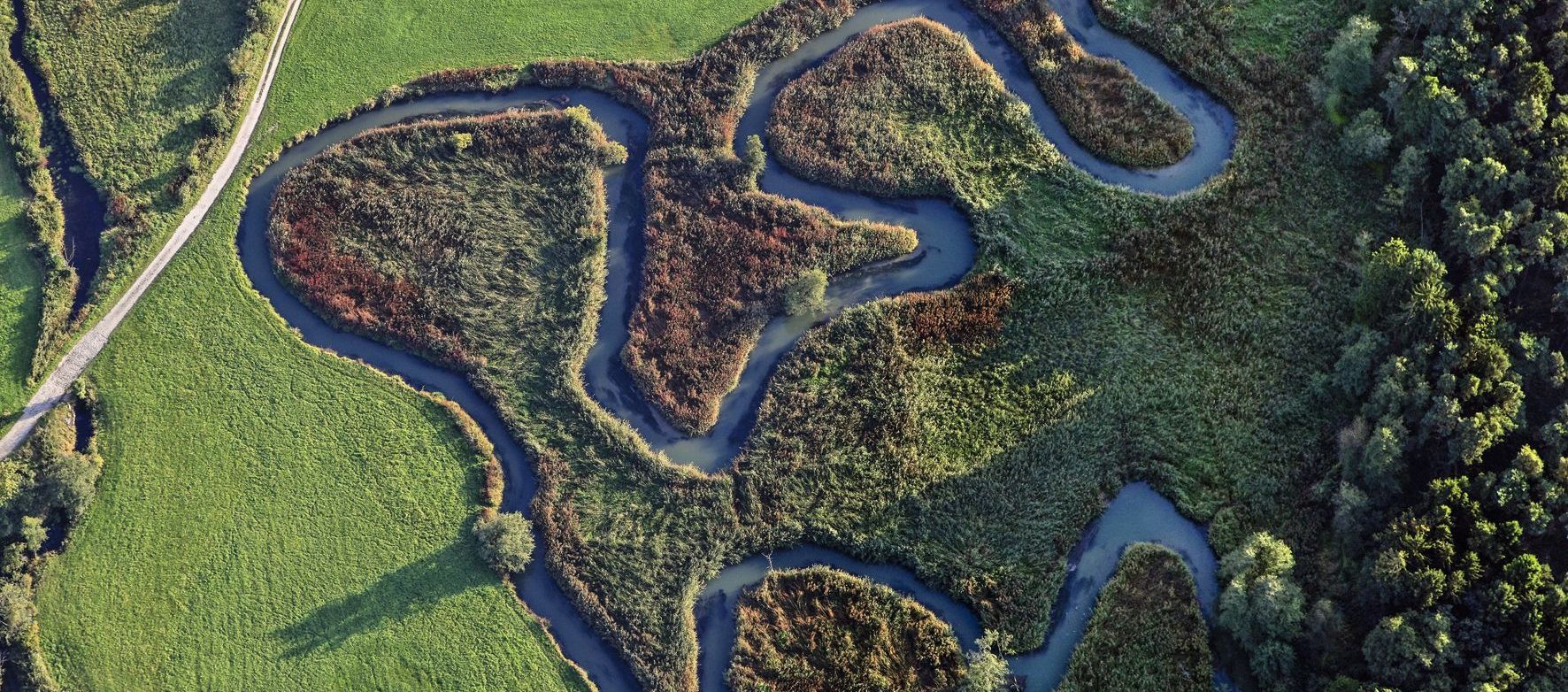 Luftaufnahme der mäandernden Abens bei Siegenburg (Bild: Klaus Leidorf) Luftaufnahme der mäandernden Abens bei Siegenburg: Ein Wassercent könnte Renaturierungsmaßnahmen finanzieren (Bild: Klaus Leidorf)
