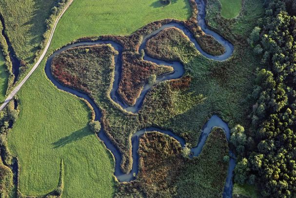 Abens bei Siegenburg Luftaufnahme der mäandernden Abens bei Siegenburg: Ein Wassercent könnte Renaturierungsmaßnahmen finanzieren (Bild: Klaus Leidorf)