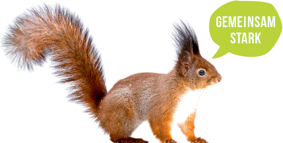 Rotes Eichhörnchen mit dem Slogan ‚Gemeinsam stark‘