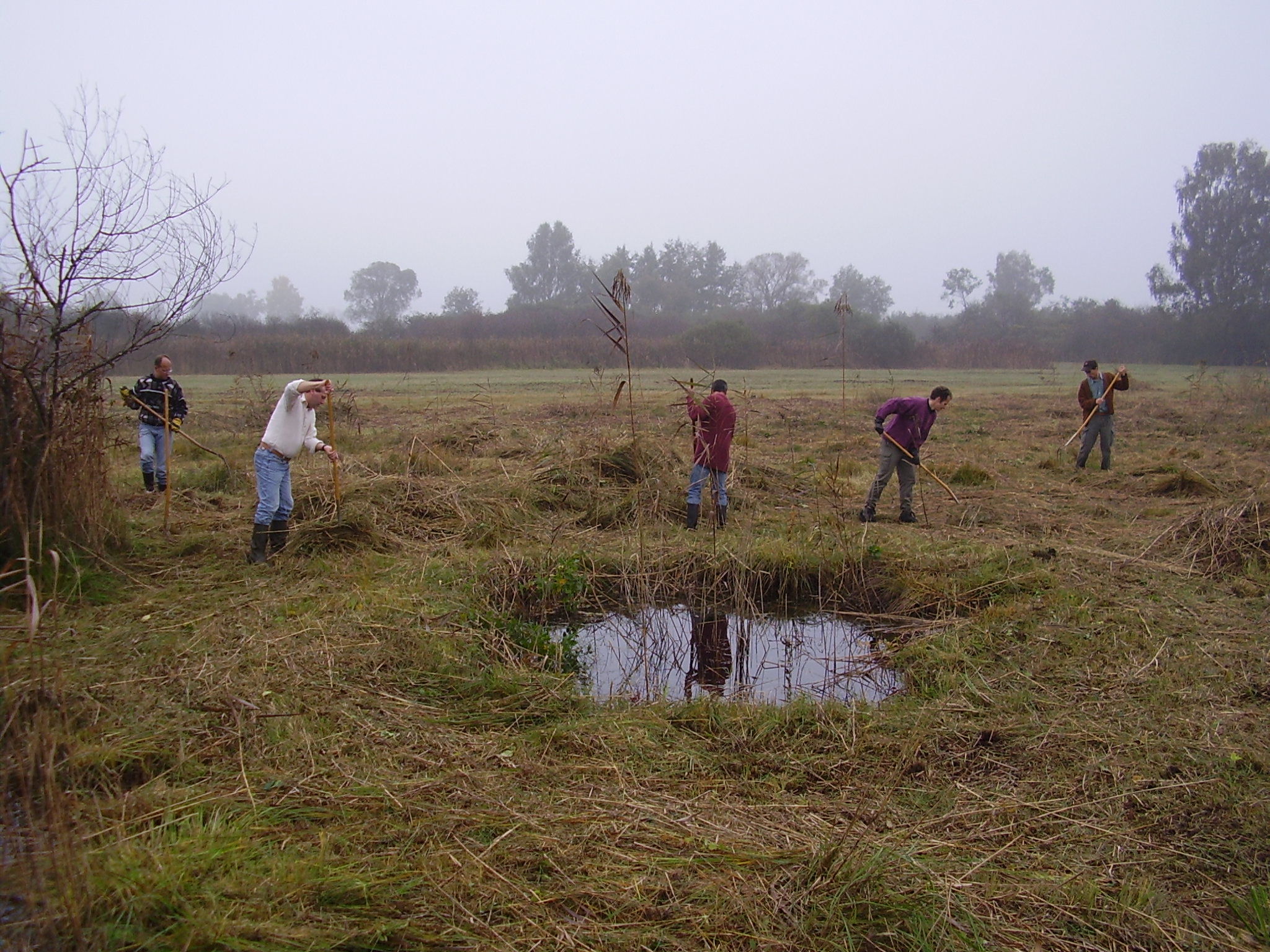 Die Kreisgruppe beim Pflegeeinsatz der Fläche bei herbstlichem Wetter.