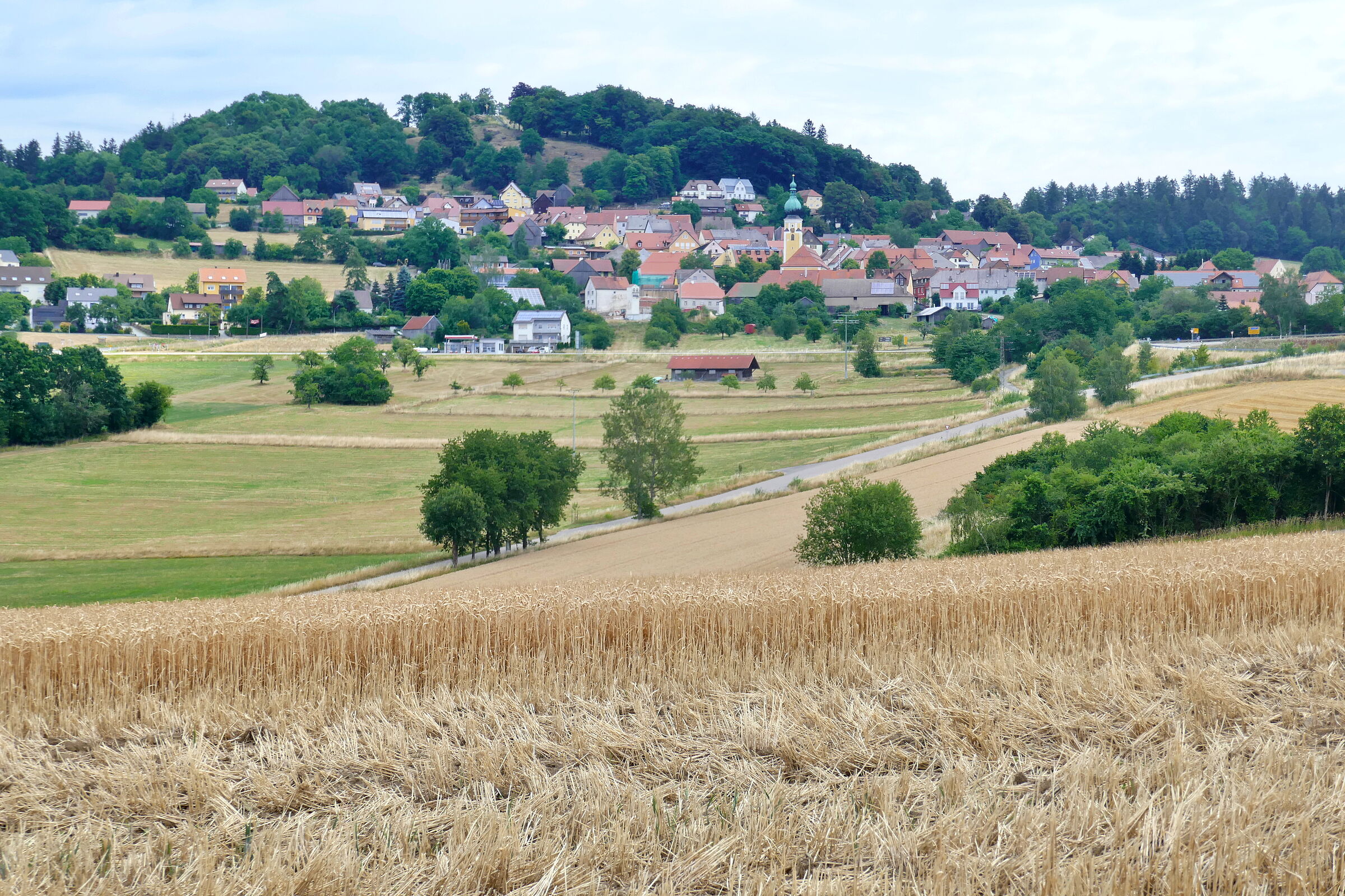 Der Ort Tännesberg vor dem Schlossberg, einem Hügel, auf dem ein paar Bäume wachsen