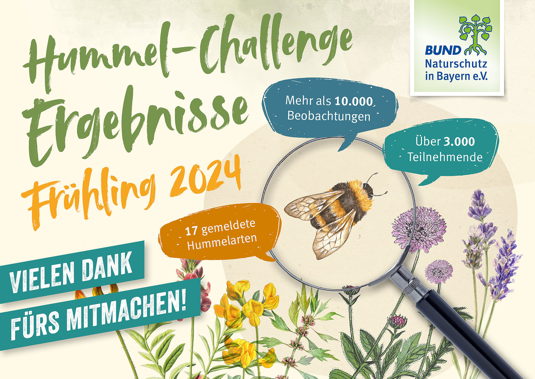 Die Grafik zeigt Ergebnisse der ersten Hummel-Challenge 2024: Über 3.000 Teilnehmer*innen, mehr als 10.000 Beobachtungen, 17 verschiedene Hummelarten.