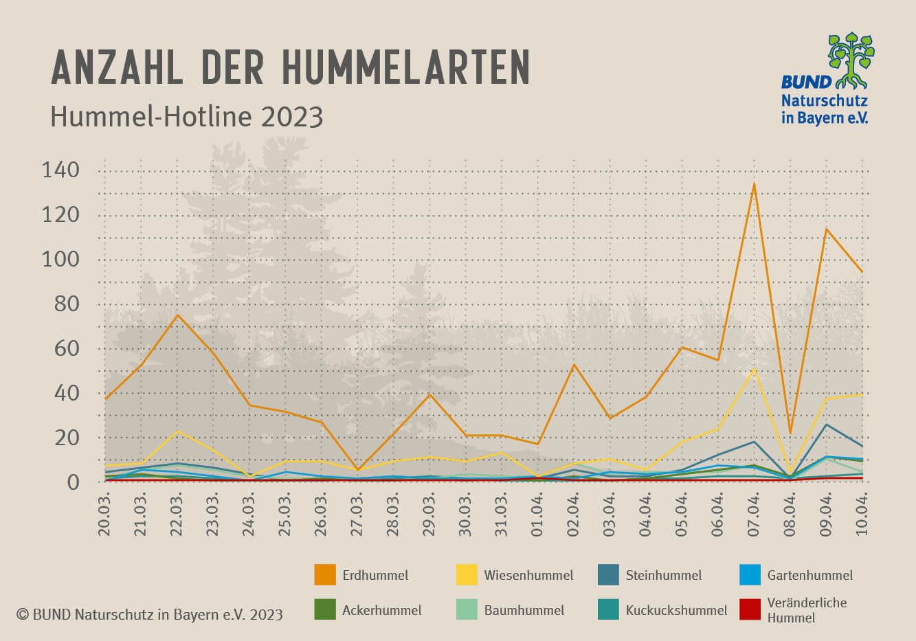 Hummel-Hotline 2023: Das Diagramm zeigt, wie viele Individuen einer Hummelart pro Tag gemeldet wurden. Es sind acht Kurven für die acht am häufigsten gemeldeten Hummelarten zu sehen.