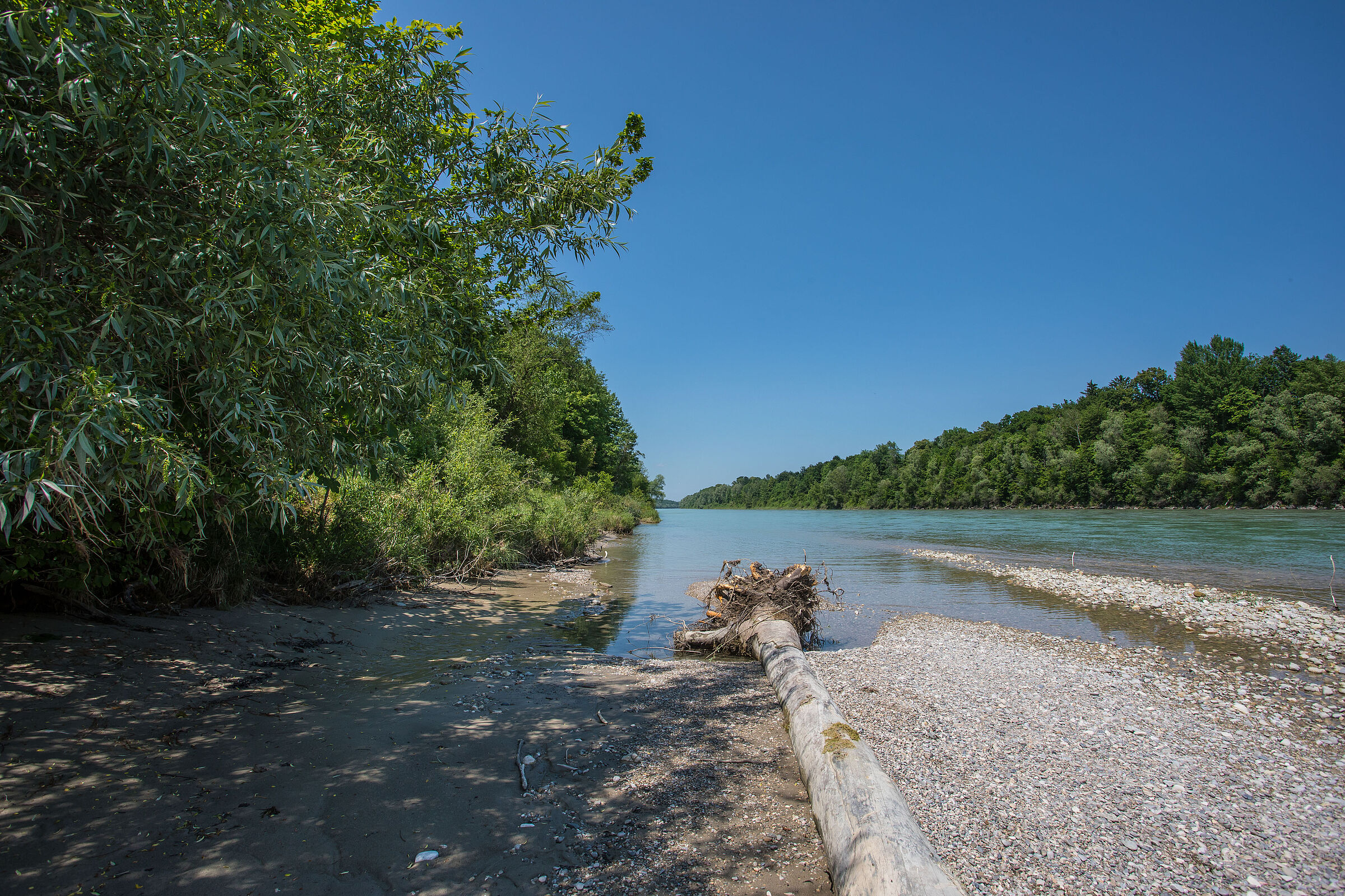 Salzach bei Freilassing