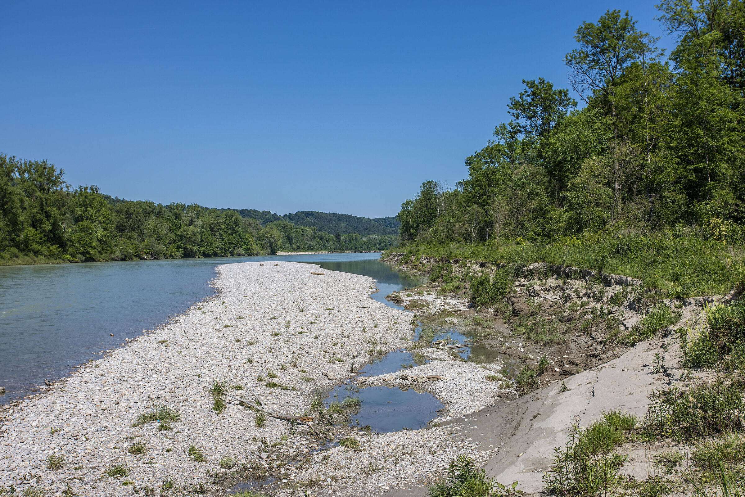 Salzach bei Tittmoning