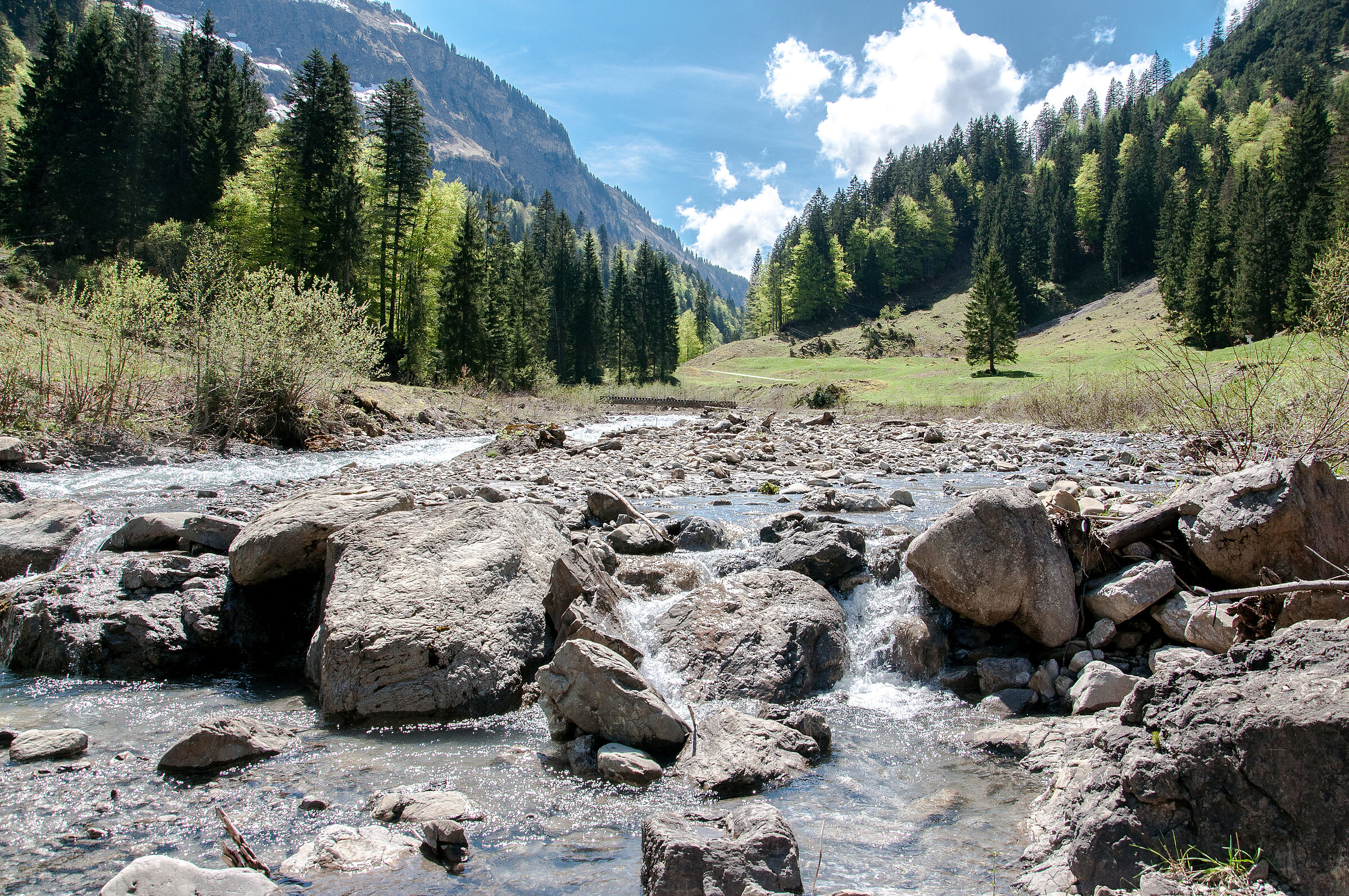 Rappenalpbach im Rappenalptal (Foto: protectnature/stock.adobe.com)