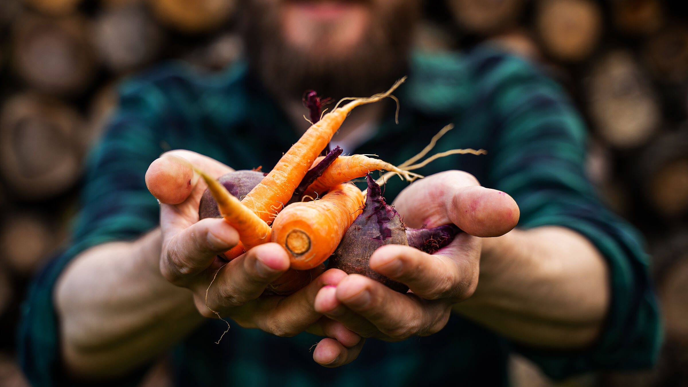 Ein Bauer hält Möhren und Rote Beete in den Händen (Foto: v_sot/stock.adobe.com)