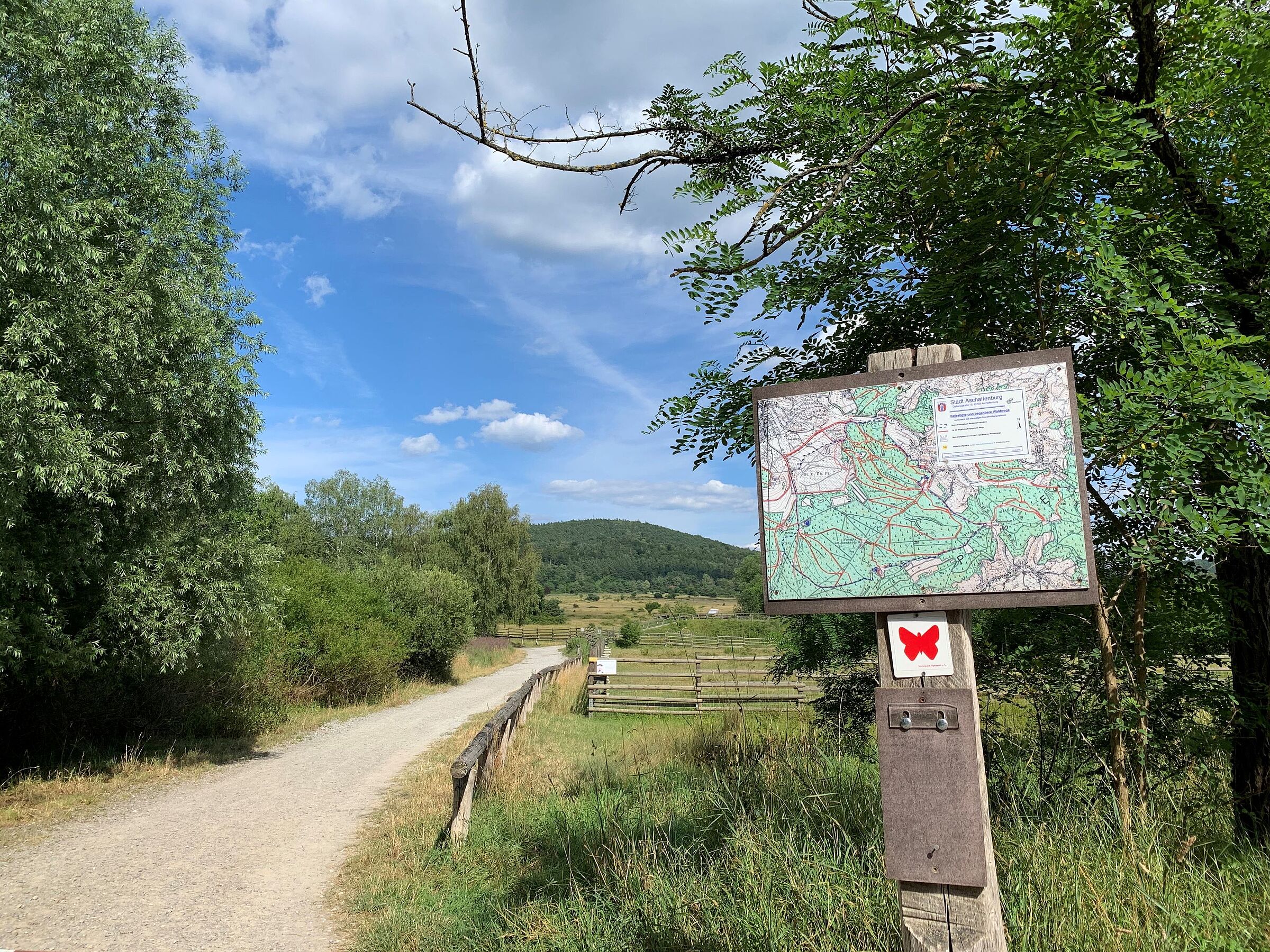 Ausbau und Erhalt von Rad- und Wanderwegen werden in einer Biosphärenregion Spessart gefördert. (Foto: Dr. Ruth Radl)