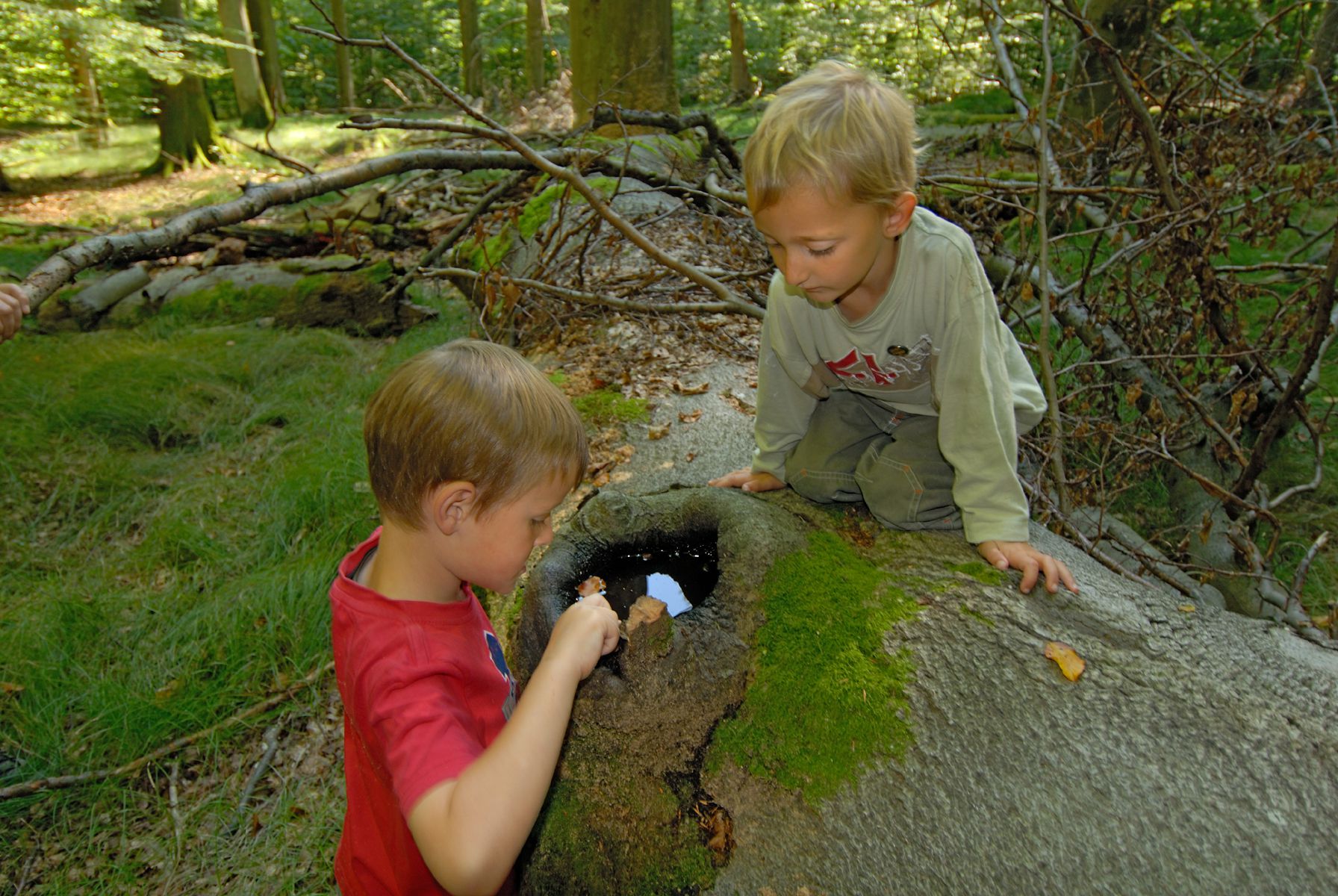 Kinder klettern auf einem umgefallenen Baumstamm (Foto: Thomas Stephan)