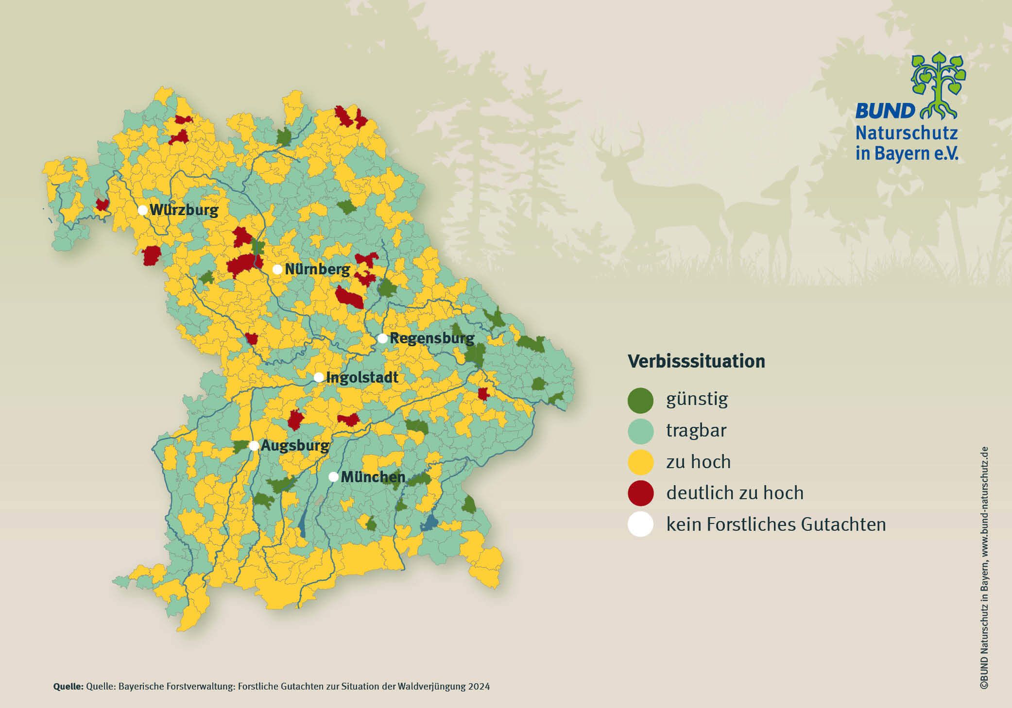 In vielen bayerischen Revieren ist der Verbiss zu hoch oder sogar deutlich zu hoch. Eine Landkarte von Bayern zeigt die Wälder mit der jeweiligen Verbisssituation an. In vielen Bereichen ist der Verbiss zu hoch.
