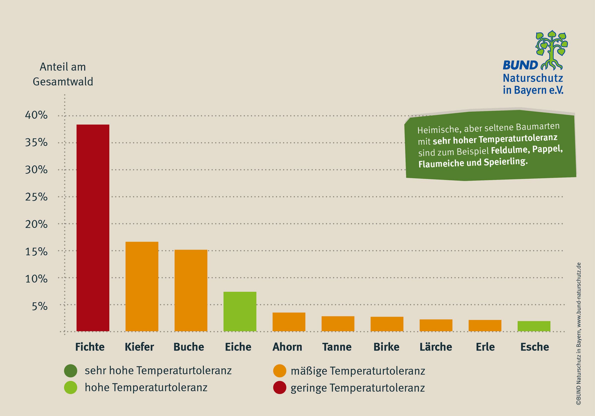 Ein Balkendiagramm zeigt, wie gut heimische Baumarten mit Hitze umgehen können und wie häufig sie in unseren Wäldern vorkommen.