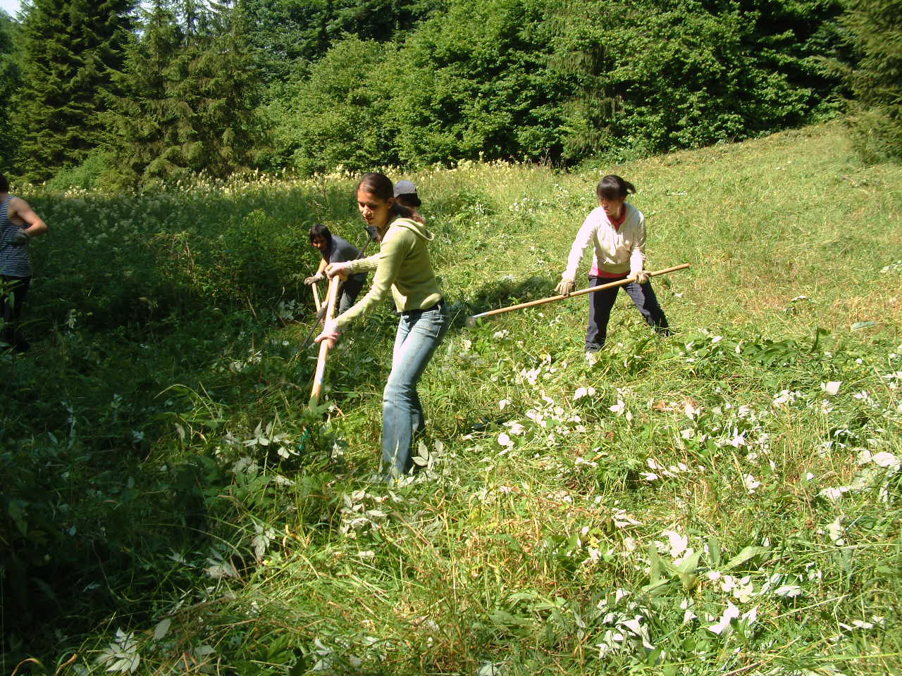 Jugendworkcamp am Grünen Band