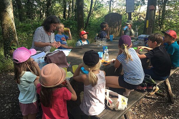 Wilde Bienen beim Picknick auf dem Waldwichtelweg, Foto Ulrich Geißler