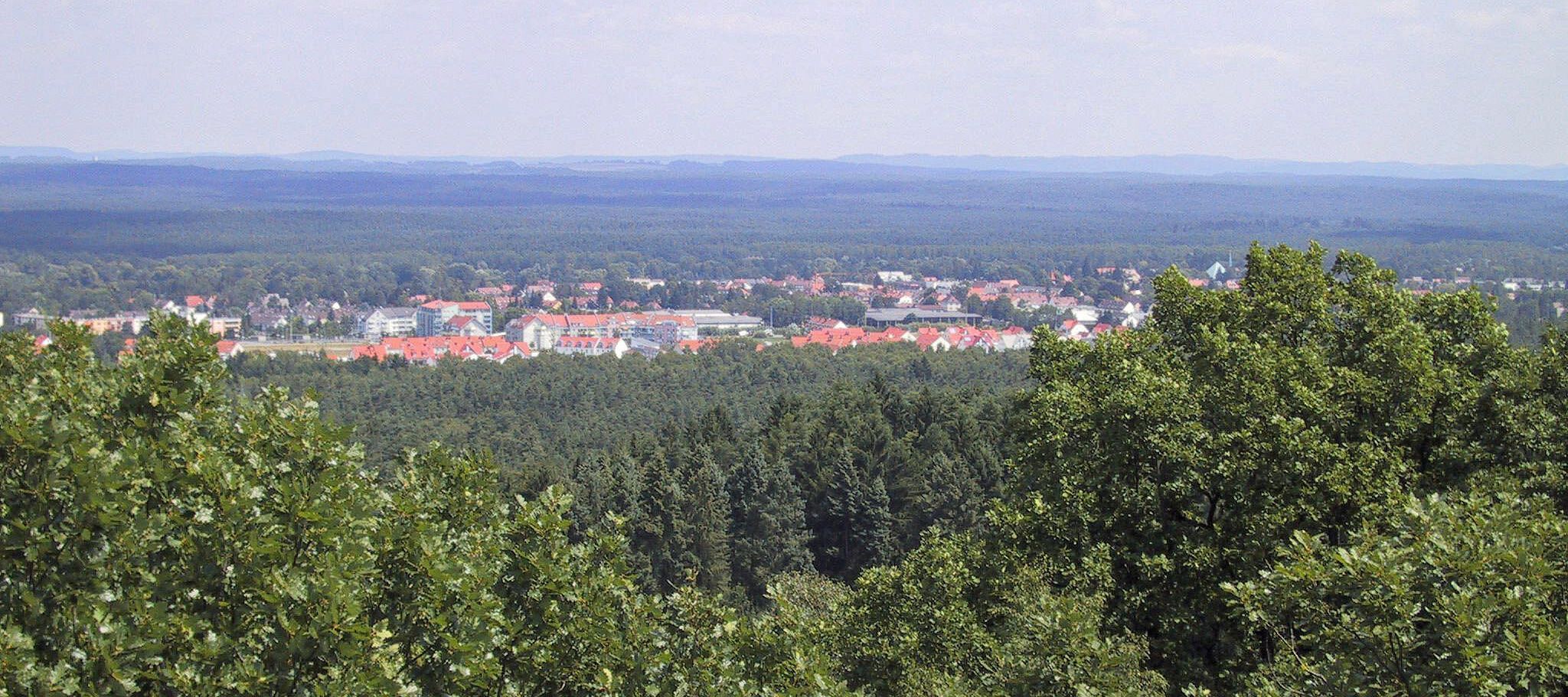 Blick vom Schmausenbuckturm auf den Reichswald und einen Ausläufer der Großstadt (Foto: Tom Konopka). Blick von oben auf einen Laub- und Nadelwald im Vordergrund, eine Ansammlung von Häusern und dahinter wieder Wald bis zum Horizont