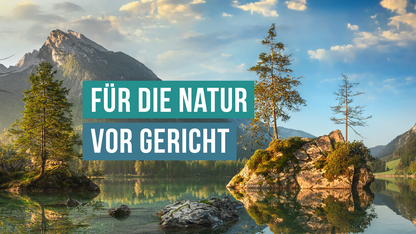 Ihre Spende für die Rechtshilfe