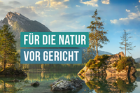 Ihre Spende für die Rechtshilfe