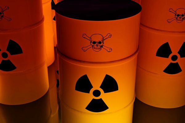 Foto: tiero/adobe.stock.com