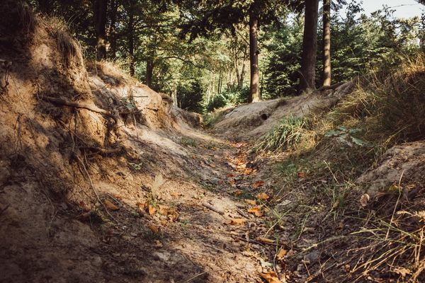 Ausgetrockneter Bach im Wald durch sommerliche Hitzeperiode