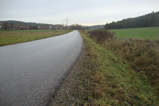 Ein neu gebauter – asphaltierter – Kernweg (Foto: Karin Eigenthaler)