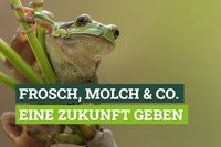 Spenden für Frosch, Molch und Co