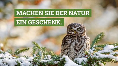 Ihre Weihnachtsspende für Bayerns Natur!