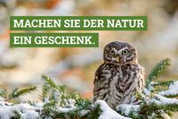 Ihre Weihnachtsspende für Bayerns Natur!