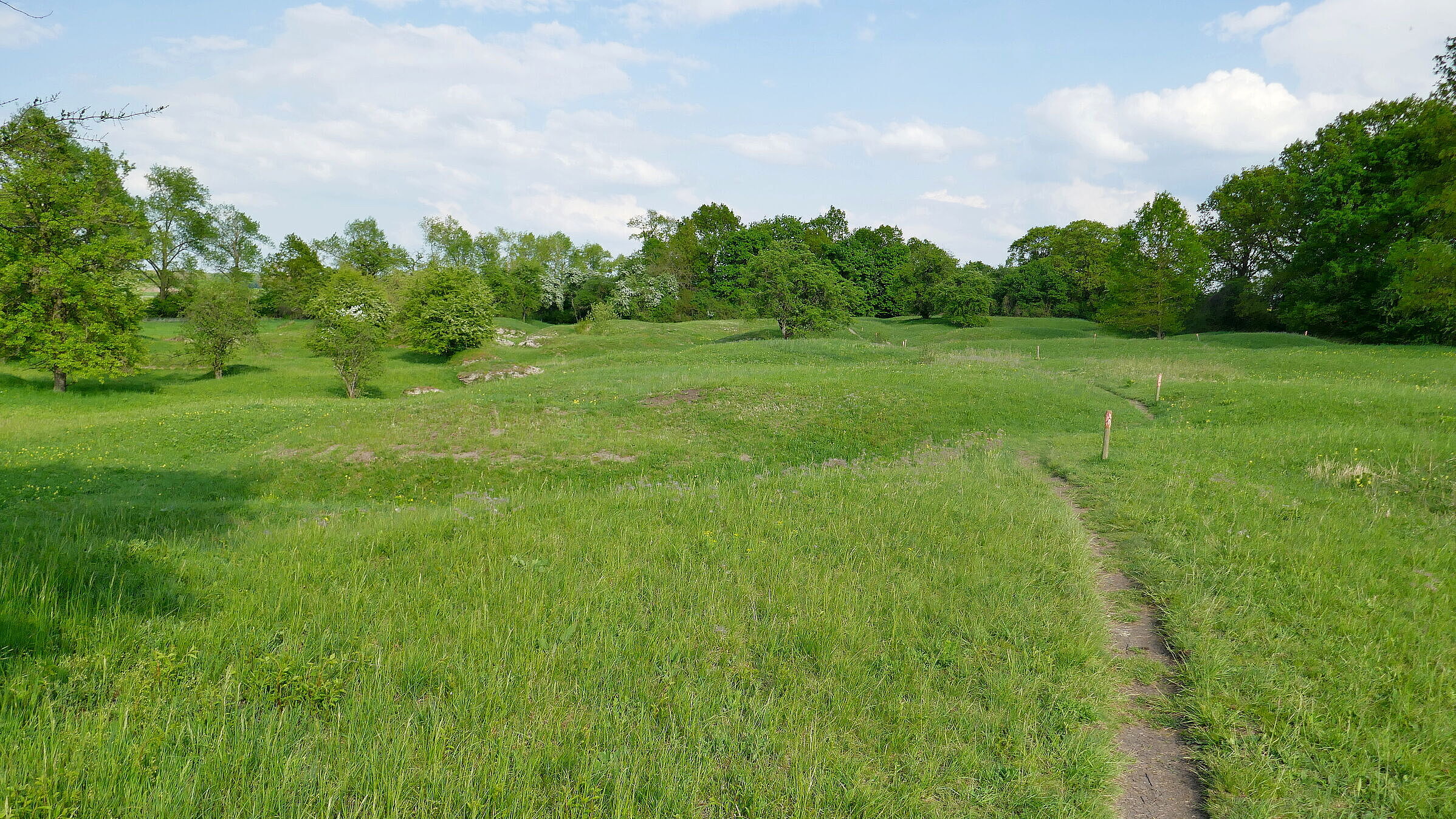 Ein Wanderpfad führt durch die offene, von Bäumen und Büschen gesäumte Landschaft der Sulzheimer Gipshügel.