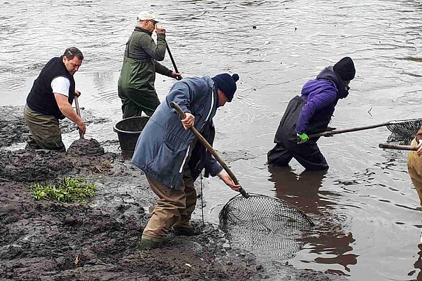 Amphibienteich "Gutsteich" bei Selb