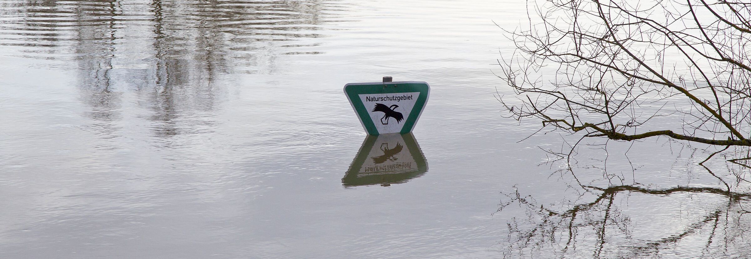 Naturschutz ist ein wichtiges Element für den Schutz von Wasser in Bayern, etwa um Hochwasser zu verhindern. (Foto: Marcus Bosch)