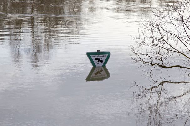 Naturschutz ist ein wichtiges Element für den Schutz von Wasser in Bayern, etwa um Hochwasser zu verhindern. (Foto: Marcus Bosch)