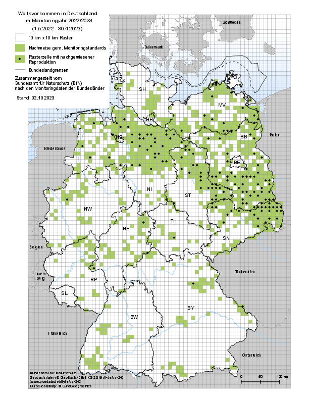 Eine Deutschlandkarte zeigt mit schwarzen und grünen Markierungen, wo Wölfe bzw. Wolfsfamilien vorkommen. (Grafik: Bundesamt für Naturschutz)